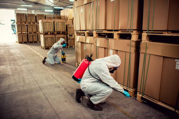 Best Local Pest Control Services  in Lake Erie Beach, NY