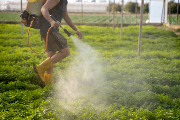 Best Commercial Pest Control Services  in Lake Erie Beach, NY