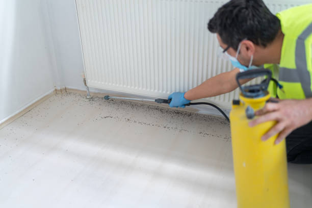  Lake Erie Beach, NY Pest Control Pros